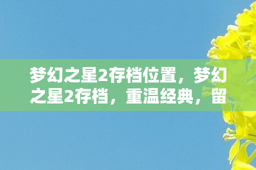 梦幻之星2存档位置，梦幻之星2存档，重温经典，留住回忆