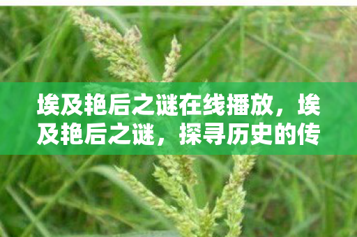 埃及艳后之谜在线播放，埃及艳后之谜，探寻历史的传奇女性