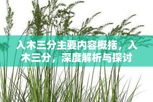 入木三分主要内容概括，入木三分，深度解析与探讨