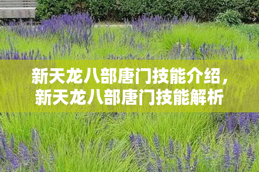 新天龙八部唐门技能介绍，新天龙八部唐门技能解析