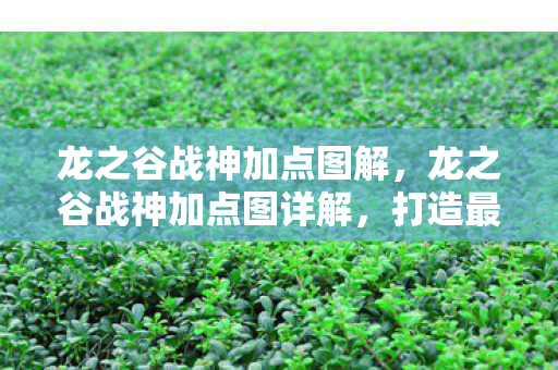 龙之谷战神加点图解，龙之谷战神加点图详解，打造最强战斗力的关键