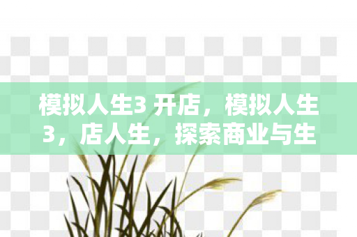 模拟人生3 开店,模拟人生3,店人生,探索商业与生活的无限可能 模拟人生3 开店,模拟人生3,店人生,探索商业与生活的无限可能