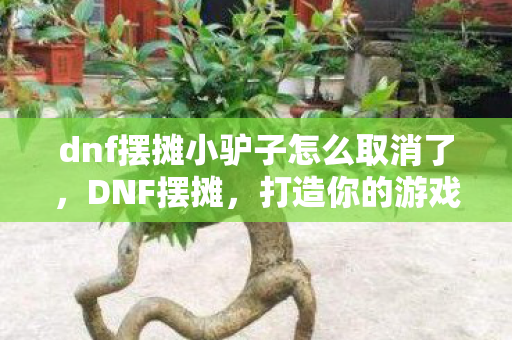 dnf摆摊小驴子怎么取消了，DNF摆摊，打造你的游戏经济帝国