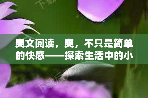 爽文阅读，爽，不只是简单的快感——探索生活中的小确幸
