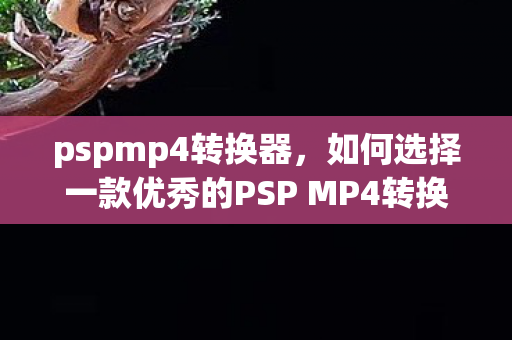 pspmp4转换器，如何选择一款优秀的PSP MP4转换器？