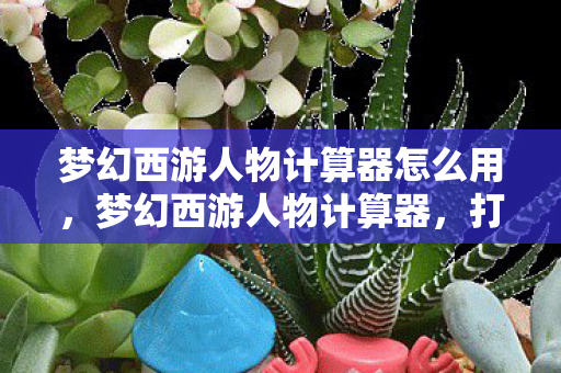 梦幻西游人物计算器怎么用，梦幻西游人物计算器，打造你的专属角色攻略