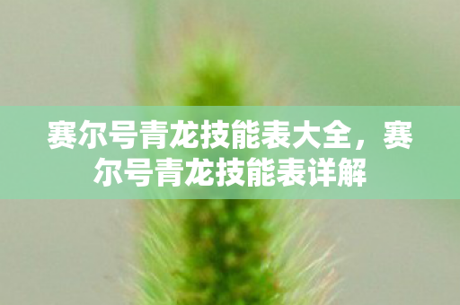赛尔号青龙技能表大全,赛尔号青龙技能表详解 赛尔号青龙技能表大全,赛尔号青龙技能表详解