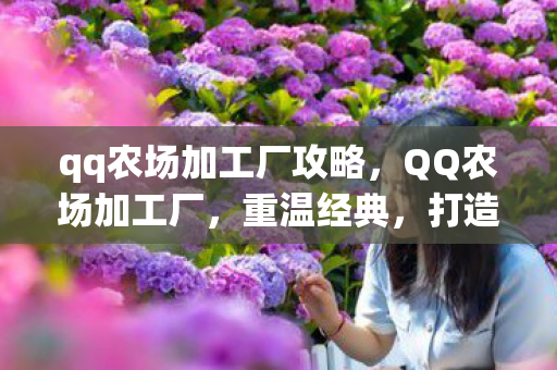 qq农场加工厂攻略，QQ农场加工厂，重温经典，打造你的虚拟田园梦想