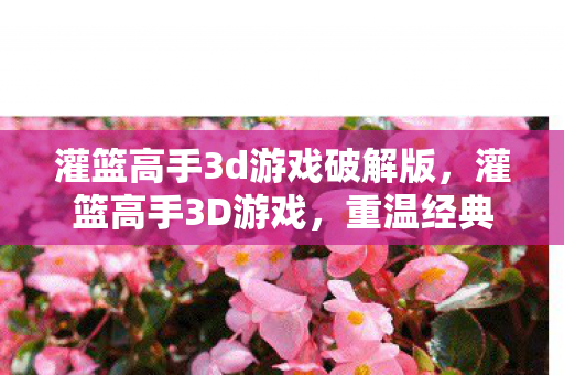 灌篮高手3d游戏破解版，灌篮高手3D游戏，重温经典，挑战极限