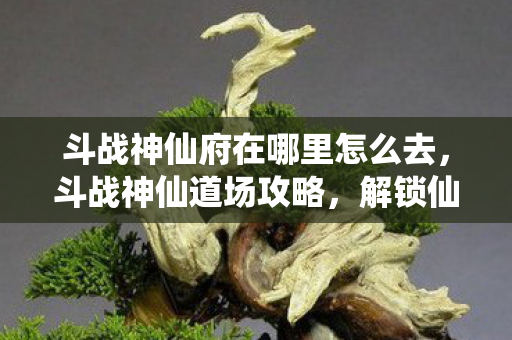 斗战神仙府在哪里怎么去，斗战神仙道场攻略，解锁仙界奇缘，成就无上神通