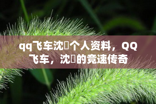 qq飞车沈珺个人资料，QQ飞车，沈珺的竞速传奇