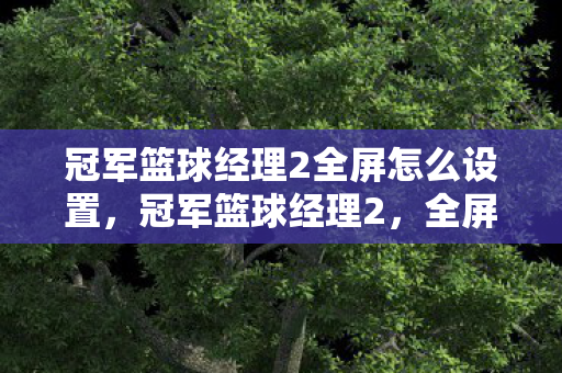 冠军篮球经理2全屏怎么设置,冠军篮球经理2,全屏掌控,打造你的梦幻阵容 冠军篮球经理2全屏怎么设置,冠军篮球经理2,全屏掌控,打造你的梦幻阵容