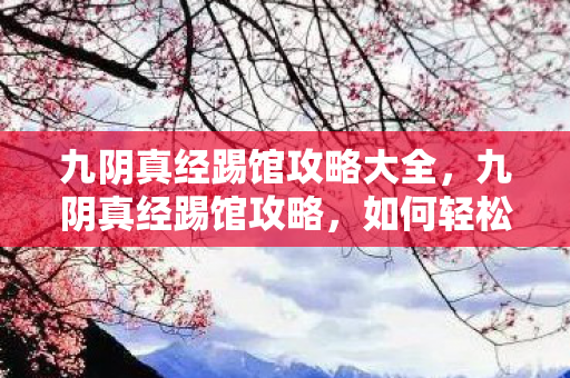 九阴真经踢馆攻略大全，九阴真经踢馆攻略，如何轻松征服各大门派