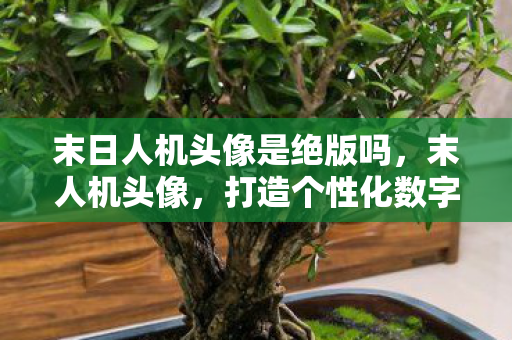 末日人机头像是绝版吗，末人机头像，打造个性化数字身份的新潮流
