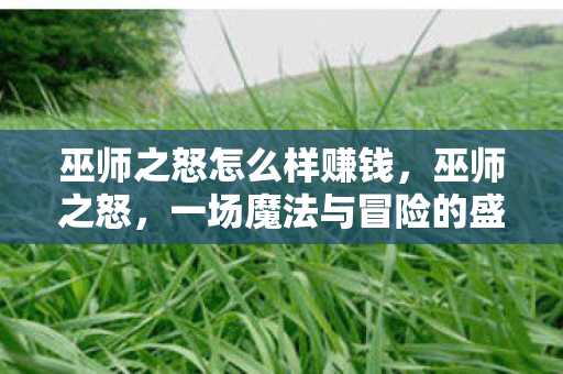 巫师之怒怎么样赚钱,巫师之怒,一场魔法与冒险的盛宴 巫师之怒怎么样赚钱,巫师之怒,一场魔法与冒险的盛宴