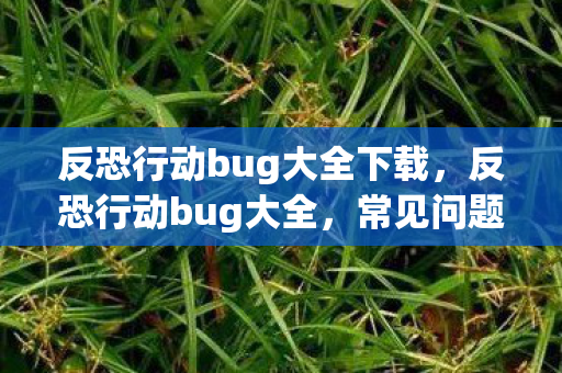 反恐行动bug大全下载,反恐行动bug大全,常见问题与解决方案 反恐行动bug大全下载,反恐行动bug大全,常见问题与解决方案
