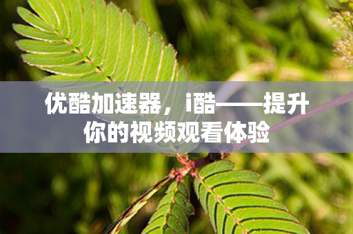 优酷加速器，i酷——提升你的视频观看体验