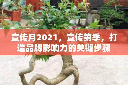 宣传月2021，宣传第季，打造品牌影响力的关键步骤