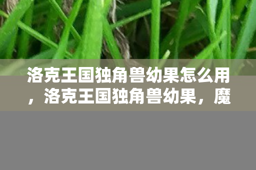 洛克王国独角兽幼果怎么用，洛克王国独角兽幼果，魔法与自然的奇妙融合