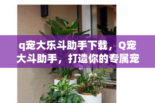 q宠大乐斗助手下载，Q宠大斗助手，打造你的专属宠物养成计划