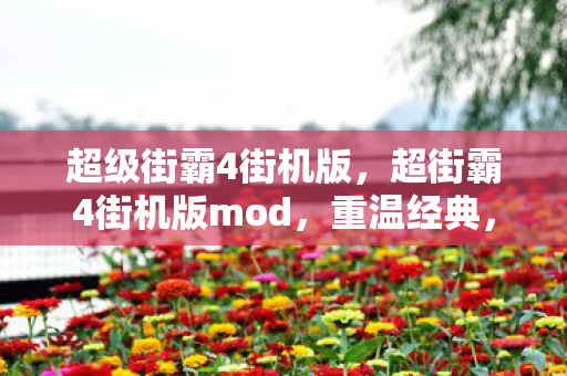 超级街霸4街机版，超街霸4街机版mod，重温经典，重塑传奇