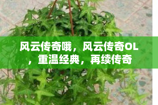 风云传奇哦，风云传奇OL，重温经典，再续传奇