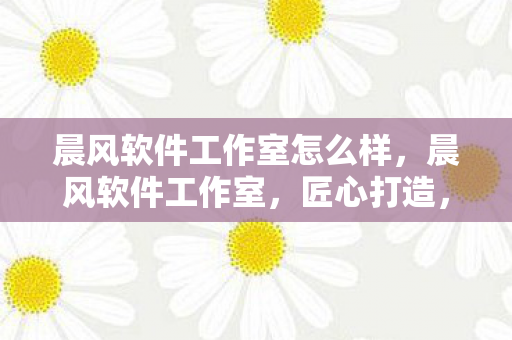 晨风软件工作室怎么样，晨风软件工作室，匠心打造，让技术为生活添彩