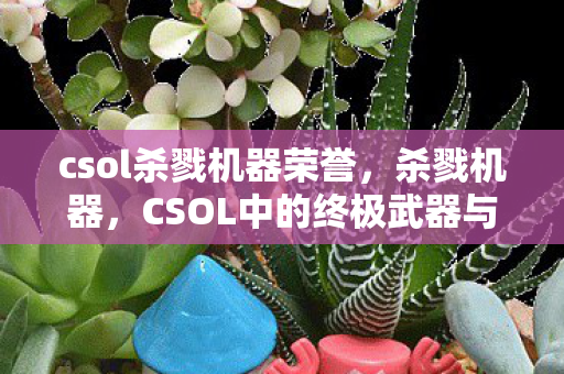 csol杀戮机器荣誉，杀戮机器，CSOL中的终极武器与游戏文化