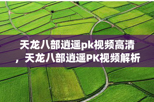 天龙八部逍遥pk视频高清，天龙八部逍遥PK视频解析与攻略
