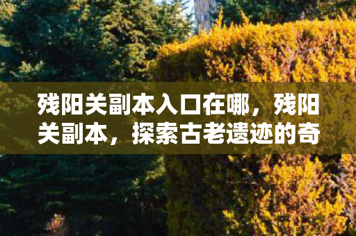 残阳关副本入口在哪,残阳关副本,探索古老遗迹的奇幻之旅 残阳关副本入口在哪,残阳关副本,探索古老遗迹的奇幻之旅