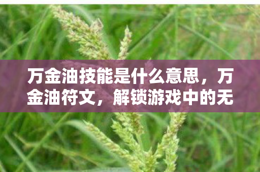 万金油技能是什么意思，万金油符文，解锁游戏中的无限可能