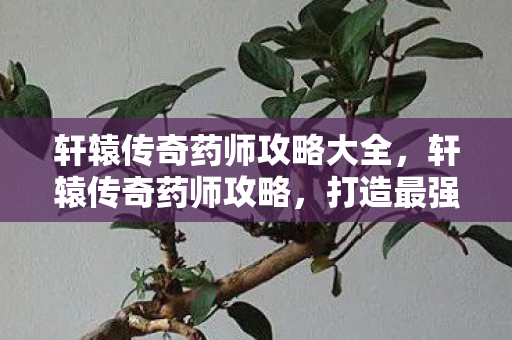 轩辕传奇药师攻略大全，轩辕传奇药师攻略，打造最强治疗师