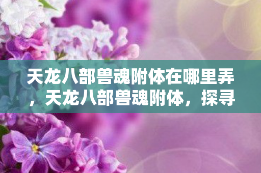 天龙八部兽魂附体在哪里弄，天龙八部兽魂附体，探寻神秘力量的奥秘