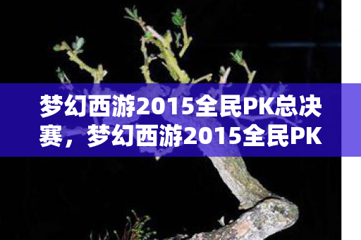 梦幻西游2015全民PK总决赛，梦幻西游2015全民PK，一场跨越时空的梦幻盛宴