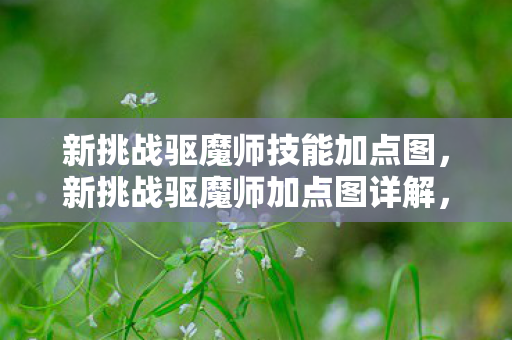 新挑战驱魔师技能加点图,新挑战驱魔师加点图详解,打造高效战斗力的关键 新挑战驱魔师技能加点图,新挑战驱魔师加点图详解,打造高效战斗力的关键