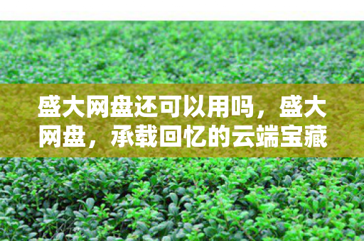 盛大网盘还可以用吗,盛大网盘,承载回忆的云端宝藏 盛大网盘还可以用吗,盛大网盘,承载回忆的云端宝藏