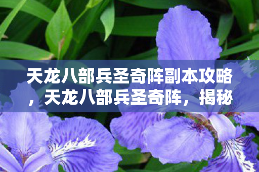 天龙八部兵圣奇阵副本攻略，天龙八部兵圣奇阵，揭秘古代战争中的神秘战术