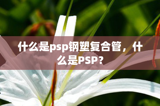 什么是psp钢塑复合管，什么是PSP？