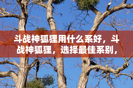 斗战神狐狸用什么系好,斗战神狐狸,选择最佳系别,打造无敌战斗伙伴 斗战神狐狸用什么系好,斗战神狐狸,选择最佳系别,打造无敌战斗伙伴