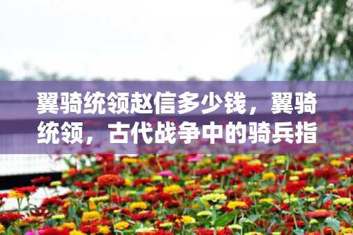 翼骑统领赵信多少钱,翼骑统领,古代战争中的骑兵指挥官 翼骑统领赵信多少钱,翼骑统领,古代战争中的骑兵指挥官