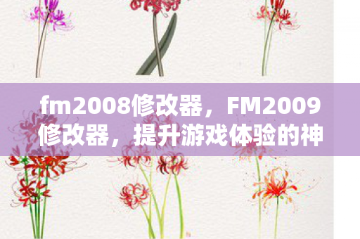 fm2008修改器,FM2009修改器,提升游戏体验的神奇工具 fm2008修改器,FM2009修改器,提升游戏体验的神奇工具
