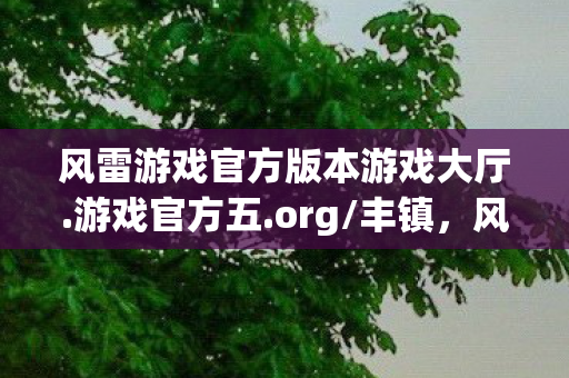 风雷游戏官方版本游戏大厅.游戏官方五.org/丰镇,风雷游戏官方,打造卓越游戏体验,引领数字娱乐新风尚 风雷游戏官方版本游戏大厅.游戏官方五.org/丰镇,风雷游戏官方,打造卓越游戏体验,引领数字娱乐新风尚