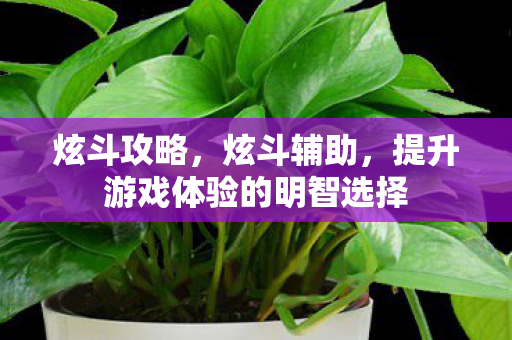 炫斗攻略,炫斗辅助,提升游戏体验的明智选择 炫斗攻略,炫斗辅助,提升游戏体验的明智选择