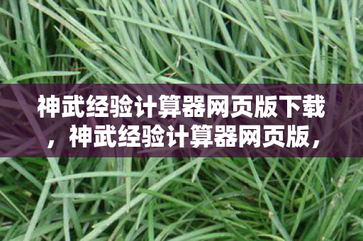 神武经验计算器网页版下载，神武经验计算器网页版，助力你的游戏成长