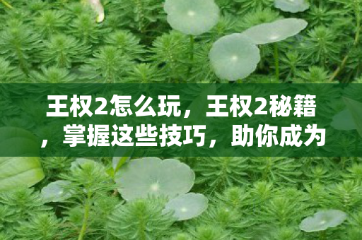 王权2怎么玩,王权2秘籍,掌握这些技巧,助你成为游戏高手 王权2怎么玩,王权2秘籍,掌握这些技巧,助你成为游戏高手