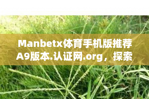 Manbetx体育手机版推荐A9版本.认证网.org,探索ManBetX体育,一场关于体育竞技与数字娱乐的盛宴 Manbetx体育手机版推荐A9版本.认证网.org,探索ManBetX体育,一场关于体育竞技与数字娱乐的盛宴