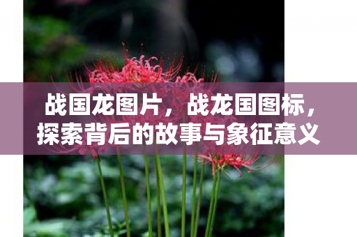 战国龙图片，战龙国图标，探索背后的故事与象征意义