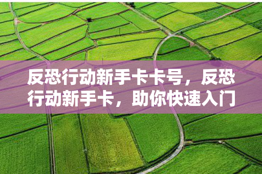 反恐行动新手卡卡号,反恐行动新手卡,助你快速入门反恐行动 反恐行动新手卡卡号,反恐行动新手卡,助你快速入门反恐行动