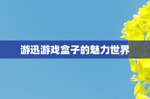 游迅游戏盒子的魅力世界