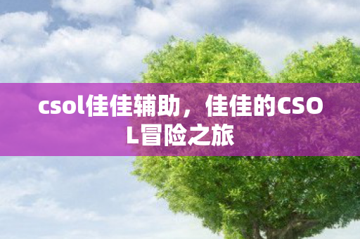 csol佳佳辅助，佳佳的CSOL冒险之旅